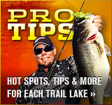 Pro Tips
