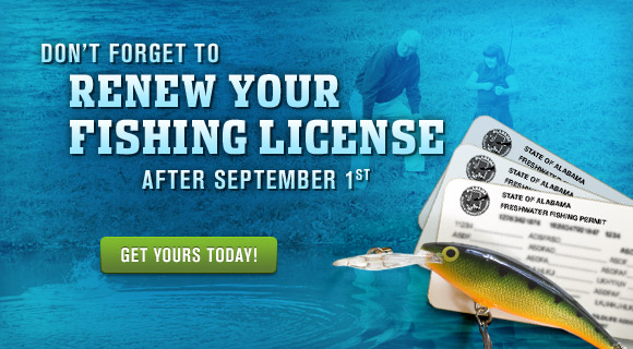 Renew your Fishing License