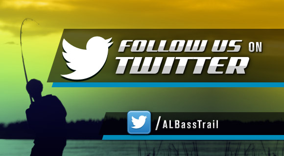 Follow us on Twitter