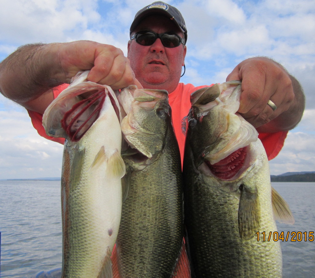 Fishing Report, Lake Guntersville 11815 Alabama Bass