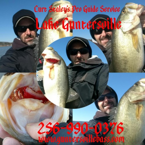 Fishing Report, Lake Guntersville, AL, 21516 Alabama