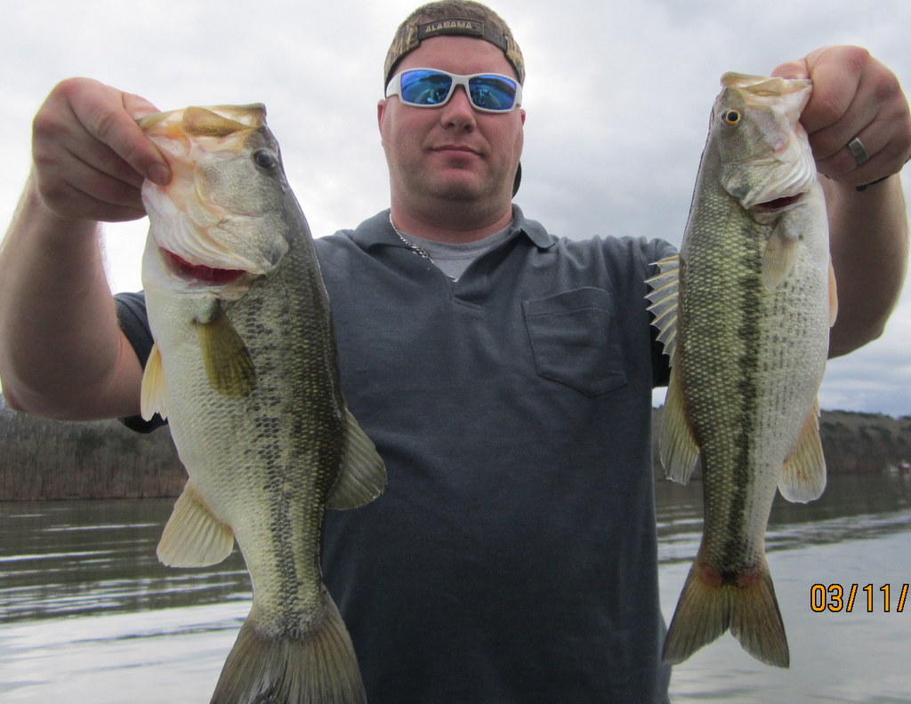 Fishing Report, Lake Guntersville 31316 Alabama Bass
