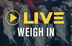 Live Weigh In